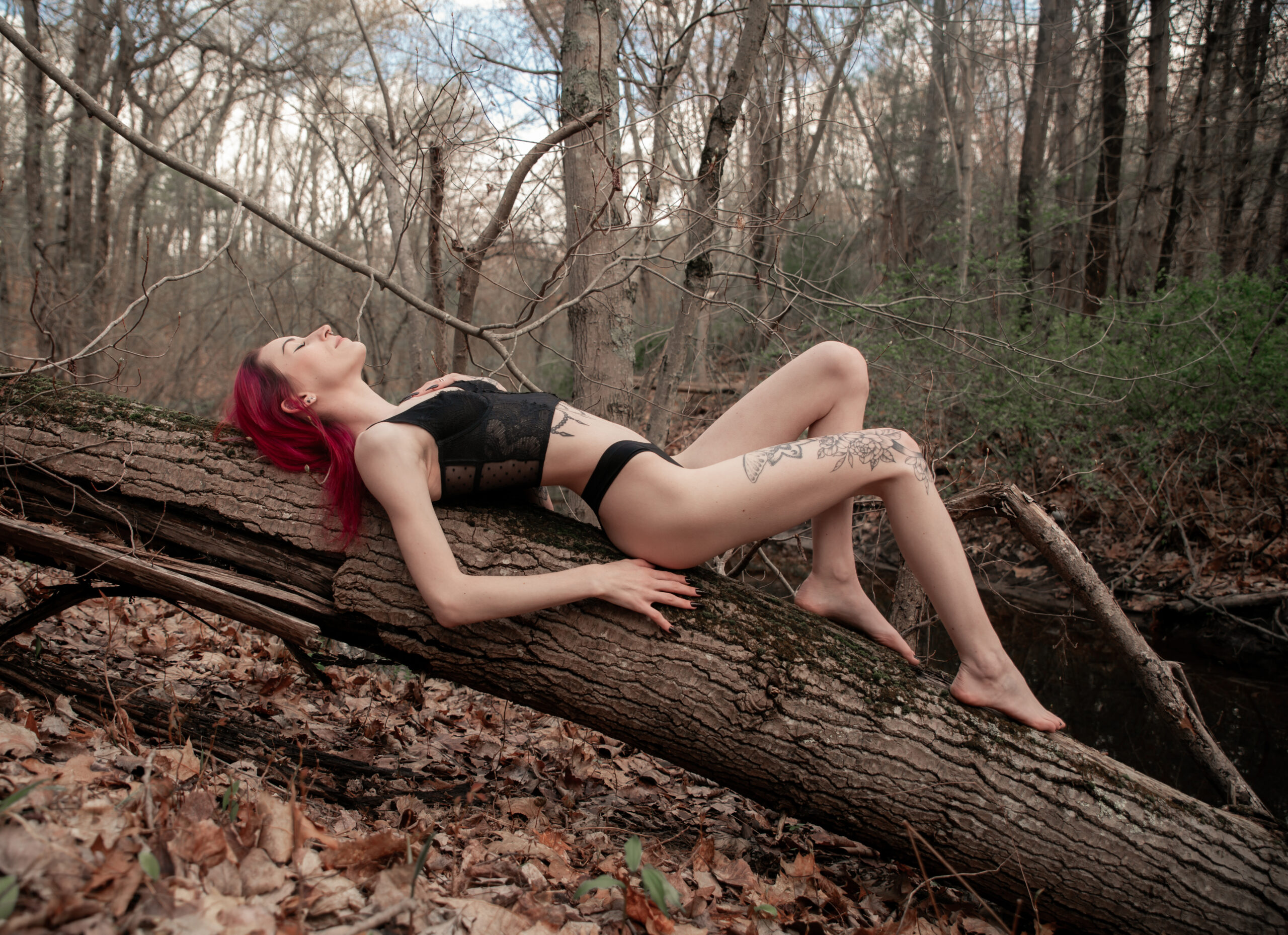 woman posing on a tree in black lingerie during her outdoor boudoir session